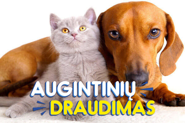 Gyvunu draudimas